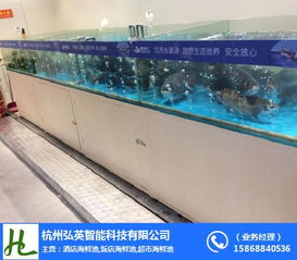 杭州飯店魚(yú)缸 弘英科技專(zhuān)業(yè)制作與技術(shù)咨詢(xún)指南